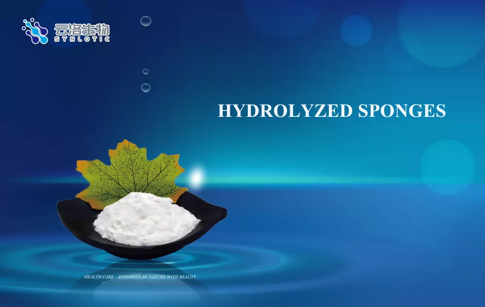 Sponges hyrolisis